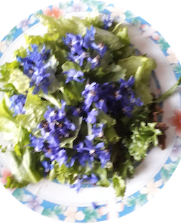 Naturel-blog-salade-02 mai-creation enroutepourleweb